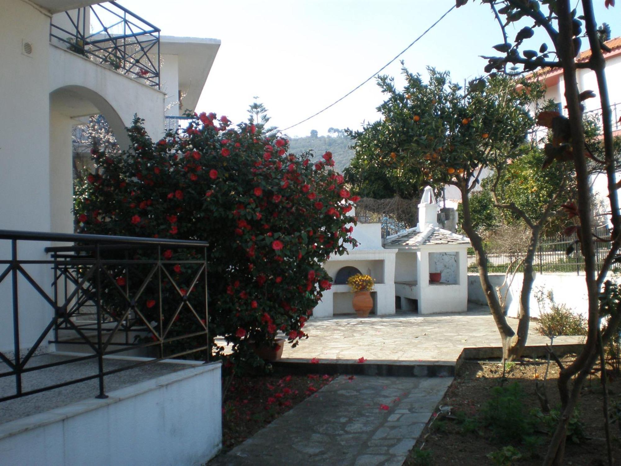 Karagiozos Studios & Apartments Skopelos Town Ngoại thất bức ảnh